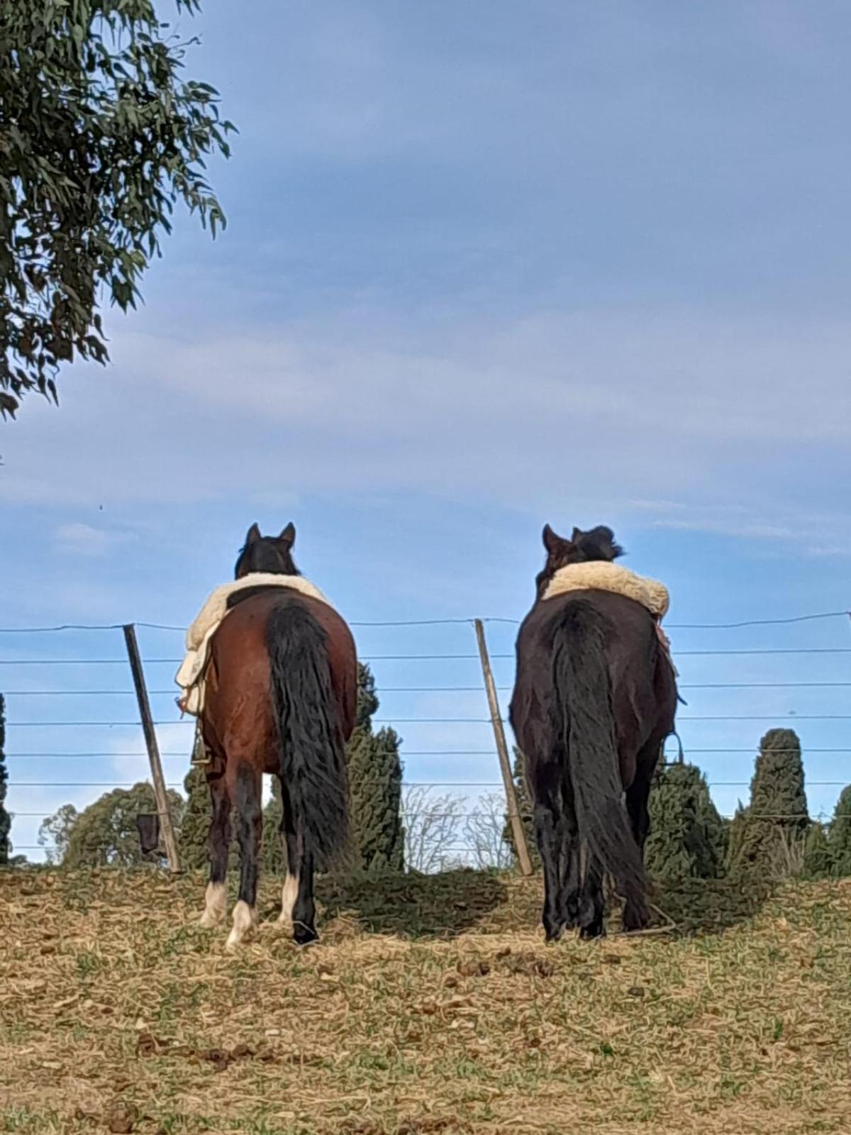 Chacras de Azcona Hostería Azul Exterior foto